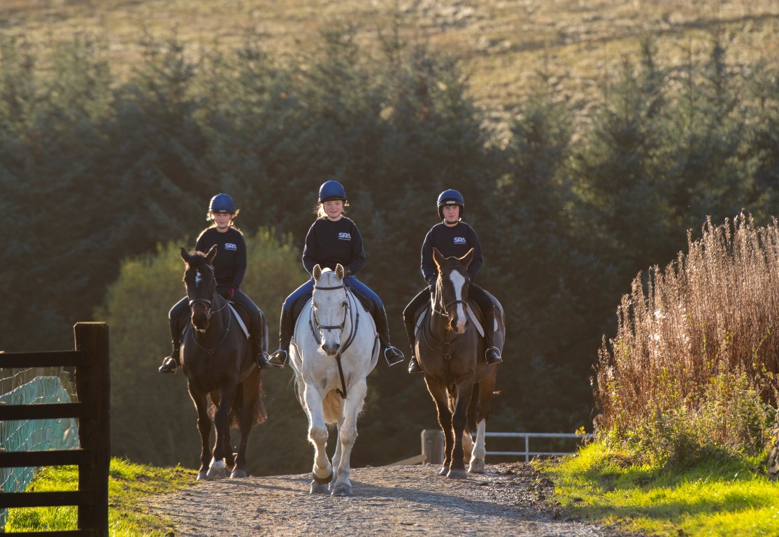 Race Horse Care students