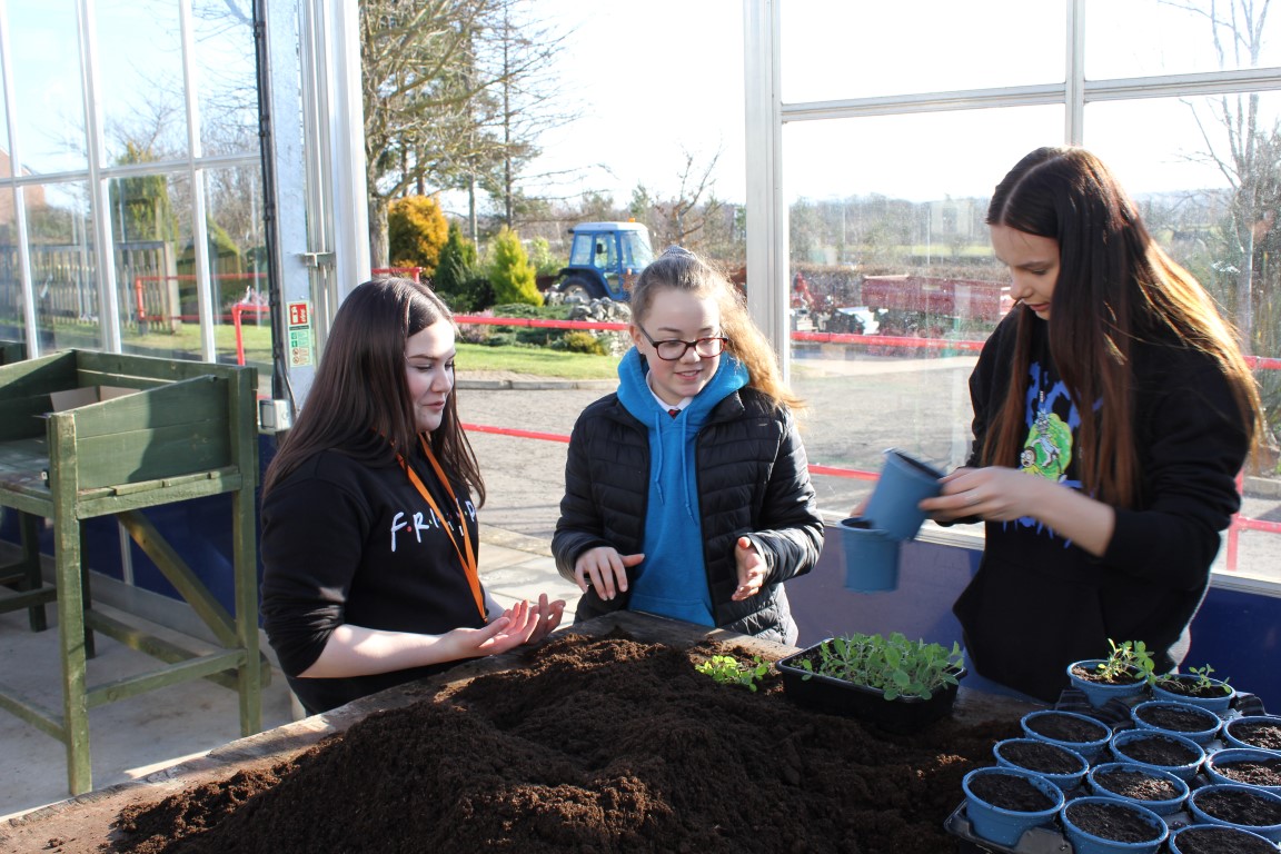 Pupils at taster day