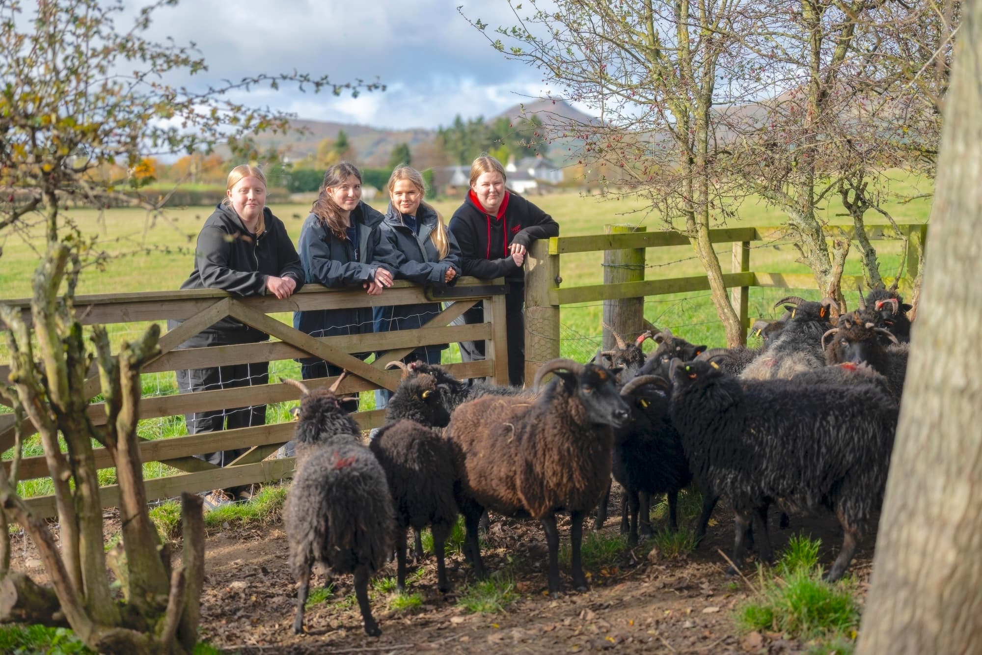 Students with sheep