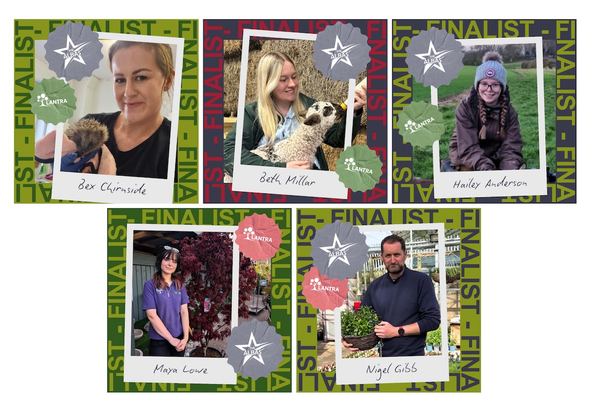 Collage of graphics showing Borders College ALBAS 26 finalists