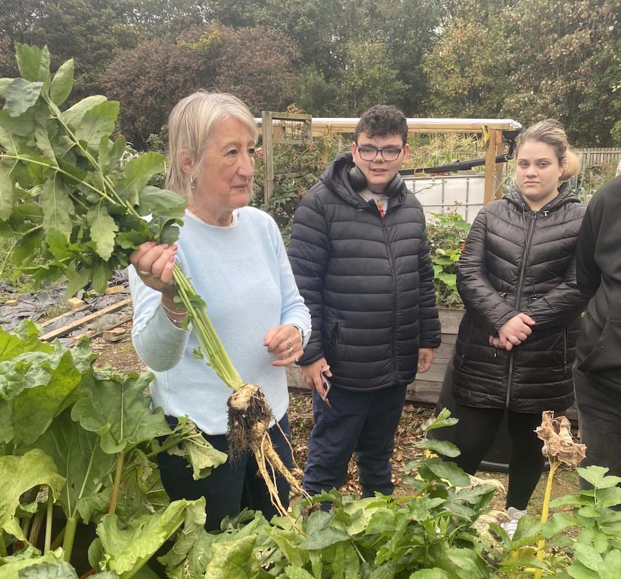 Three people standing in an allotment picking vegetables
